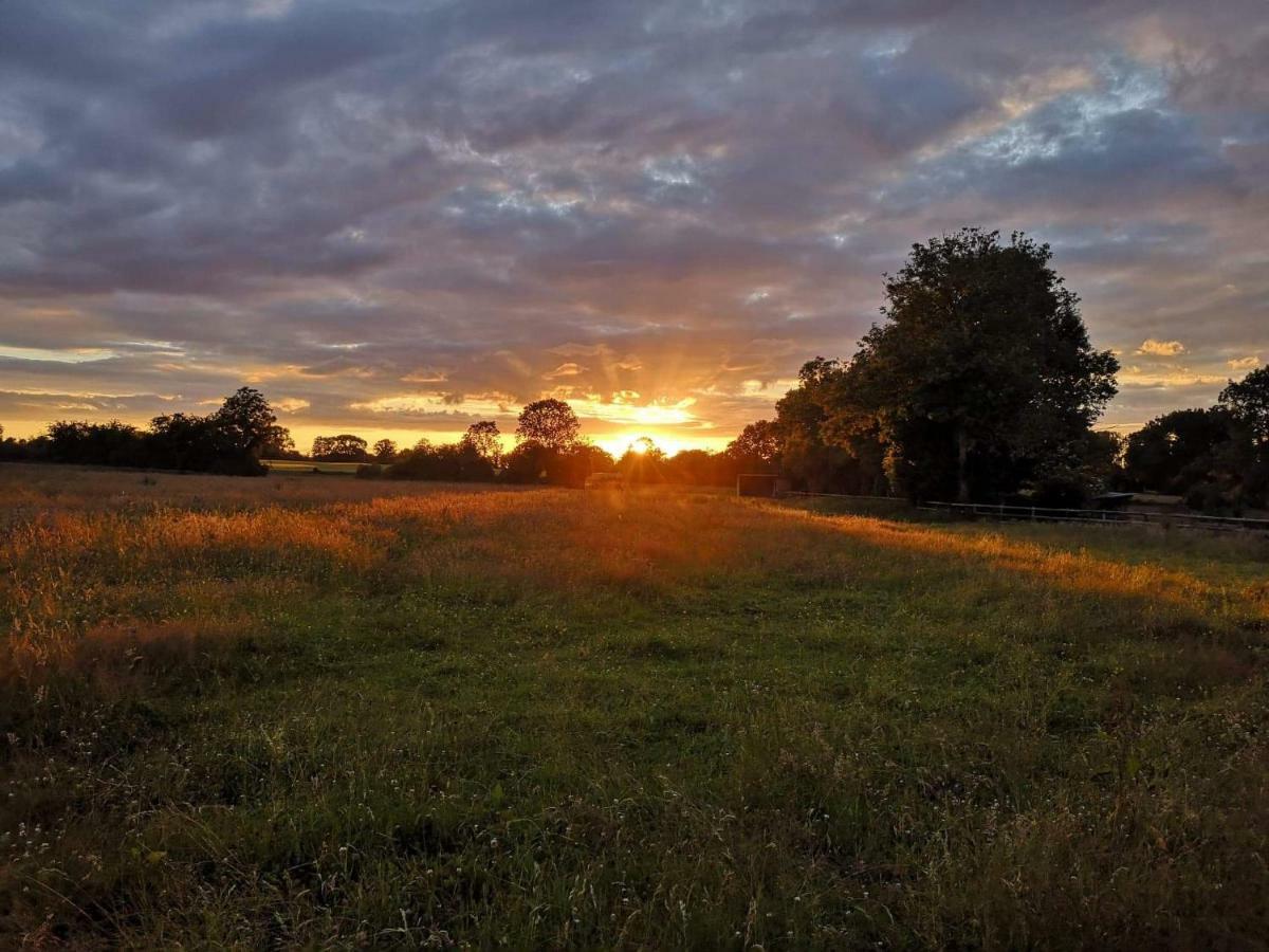 Les Gites Haras Del Paradiso Boitron ภายนอก รูปภาพ